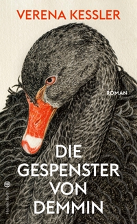 Cover: Verena Keßler. Die Gespenster von Demmin. Carl Hanser Verlag, München, 2020.