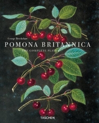 Buchcover: George Brookshaw. Pomona Britannica - Die vollständigen Tafeln. Taschen Verlag, Köln, 2002.
