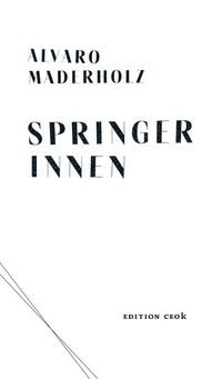 Cover: Springer Innen