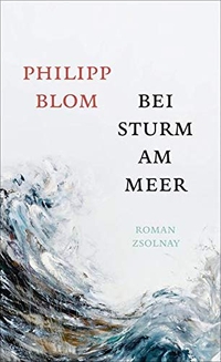 Buchcover: Philipp Blom. Bei Sturm am Meer - Roman. Zsolnay Verlag, Wien, 2016.