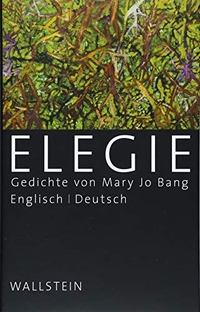 Cover: Elegie