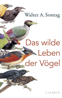 Buchcover: Walter A. Sontag. Das wilde Leben der Vögel - Von Nachtschwärmern, Kuckuckskindern und leidenschaftlichen Sängern. C.H. Beck Verlag, München, 2020.