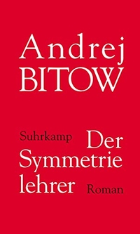 Cover: Der Symmetrielehrer
