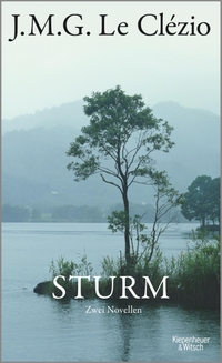 Cover: Sturm