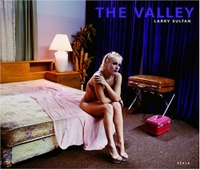 Cover: The Valley