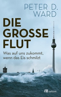 Cover: Die große Flut