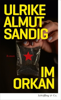 Ulrike Almut Sandig. Im Orkan. Schöffling und Co. Verlag, Frankfurt am Main, 2026.