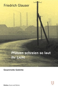 Buchcover: Friedrich Glauser. Pfützen schreien so laut ihr Licht - Gesammelte Gedichte. Nimbus Verlag, Wädenswil, 2008.