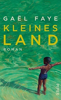 Buchcover: Gael Faye. Kleines Land - Roman. Piper Verlag, München, 2017.
