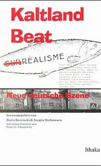 Buchcover: Boris Kerenski / Sergiu Stefanescu. Kaltland Beat - Neue deutsche Szene. Ithaka Verlag, Stuttgart, 1999.
