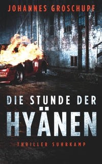Cover: Die Stunde der Hyänen