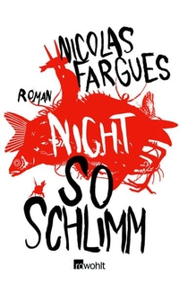 Buchcover: Nicolas Fargues. Nicht so schlimm - Roman. Rowohlt Verlag, Hamburg, 2007.