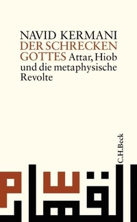 Cover: Der Schrecken Gottes