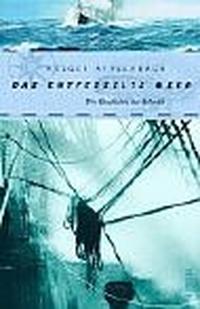 Cover: Holger Afflerbach. Das entfesselte Meer - Die Geschichte des Atlantik. Malik Verlag, München, 2002.