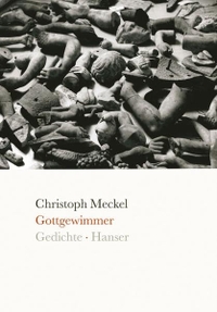 Buchcover: Christoph Meckel. Gottgewimmer - Gedichte. Carl Hanser Verlag, München, 2010.