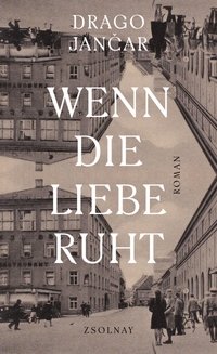 Buchcover: Drago Jancar. Wenn die Liebe ruht - Roman. Carl Hanser Verlag, München, 2019.