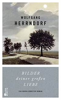 Buchcover: Wolfgang Herrndorf. Bilder deiner großen Liebe - Ein unvollendeter Roman. Rowohlt Berlin Verlag, Berlin, 2014.