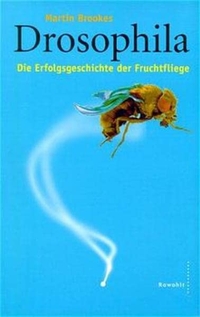 Cover: Drosophila