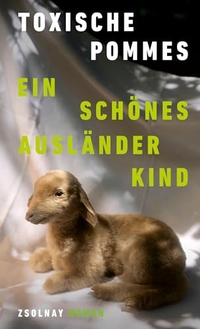 Buchcover: Toxische Pommes. Ein schönes Ausländerkind - Roman. Zsolnay Verlag, Wien, 2024.