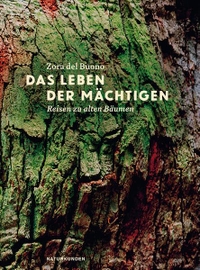 Cover: Zora del Buono. Das Leben der Mächtigen - Reisen zu alten Bäumen. Matthes und Seitz Berlin, Berlin, 2015.