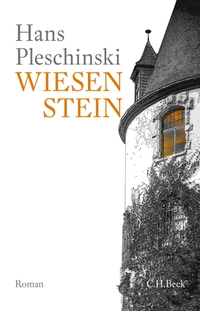Cover: Wiesenstein