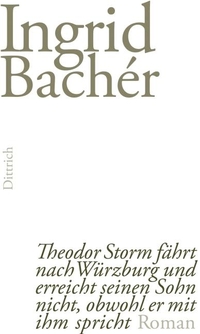 Buchcover: Ingrid Bacher. Theodor Storm fährt nach Würzburg und erreicht seinen Sohn nicht, obwohl er mit ihm spricht - Roman. Dittrich Verlag, Berlin, 2013.