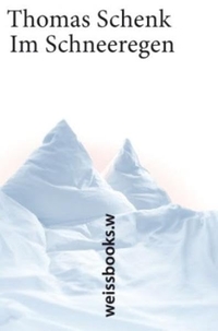 Cover: Im Schneeregen