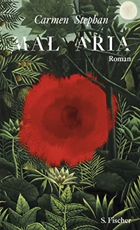 Cover: Carmen Stephan. Mal Aria - Roman. S. Fischer Verlag, Frankfurt am Main, 2012.