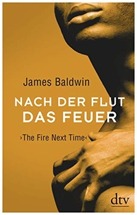 Buchcover: James Baldwin. Nach der Flut das Feuer - The Fire Next Time. dtv, München, 2019.