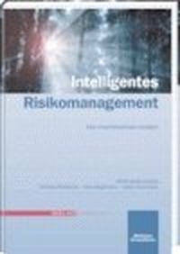 Buchcover: Jesko Frommeyer / Andreas Merbecks / Uwe Stegemann. Intelligentes Risikomanagement. C. Ueberreuter Verlag, Wien, 2004.