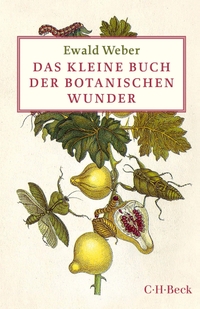 Buchcover: Ewald Weber. Das kleine Buch der botanischen Wunder. C.H. Beck Verlag, München, 2016.