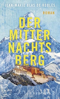 Cover: Der Mitternachtsberg