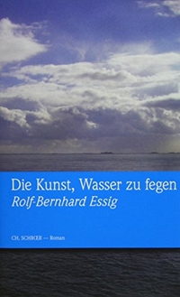 Buchcover: Rolf-Bernhard Essig. Die Kunst, Wasser zu fegen. Schroer Verlag, Lindlar, 2013.