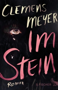 Buchcover: Clemens Meyer. Im Stein - Roman. S. Fischer Verlag, Frankfurt am Main, 2013.