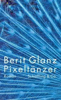 Buchcover: Berit Glanz. Pixeltänzer - Roman. Schöffling und Co. Verlag, Frankfurt am Main, 2019.