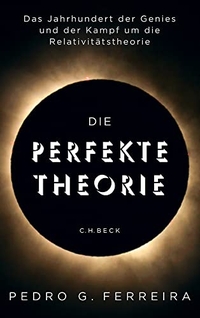 Cover: Die perfekte Theorie