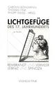Cover: Lichtgefüge des 17. Jahrhunderts 