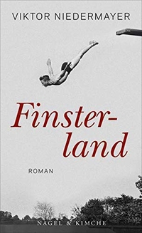 Cover: Finsterland