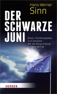 Cover: Der Schwarze Juni