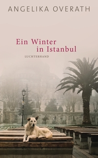 Cover: Ein Winter in Istanbul