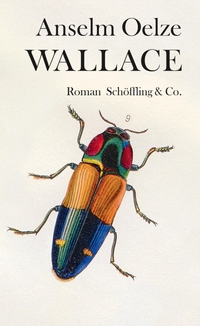 Cover: Anselm Oelze. Wallace - Roman. Schöffling und Co. Verlag, Frankfurt am Main, 2019.
