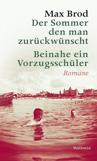 Cover: Der Sommer, den man zurückwünscht / Beinahe ein Vorzugsschüler