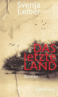 Cover: Das letzte Land