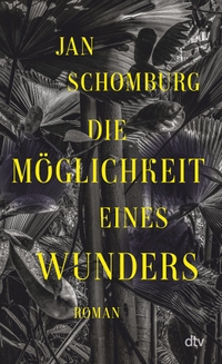 Buchcover: Jan Schomburg. Die Möglichkeit eines Wunders - Roman. dtv, München, 2024.