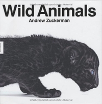 Cover: Wild Animals