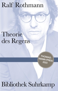 Cover: Theorie des Regens