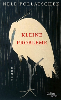 Buchcover: Nele Pollatschek. Kleine Probleme - Roman. Galiani Verlag, Berlin, 2023.