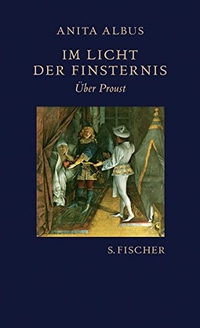 Cover: Im Licht der Finsternis