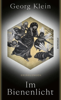 Buchcover: Georg Klein. Im Bienenlicht - Erzählungen. Rowohlt Verlag, Hamburg, 2023.