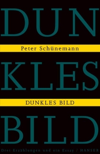 Buchcover: Peter Schünemann. Dunkles Bild - Drei Erzählungen und ein Essay. Carl Hanser Verlag, München, 2005.